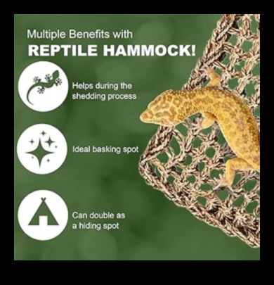 Relaxare cu reptile: crearea unei zone de relaxare pentru reptilele tale