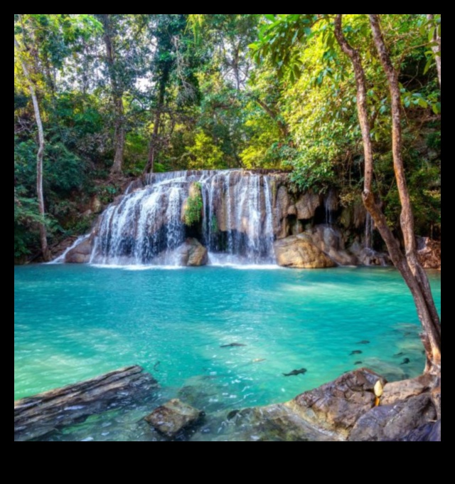 Cascade și cascade: Spectacole uluitoare ale naturii