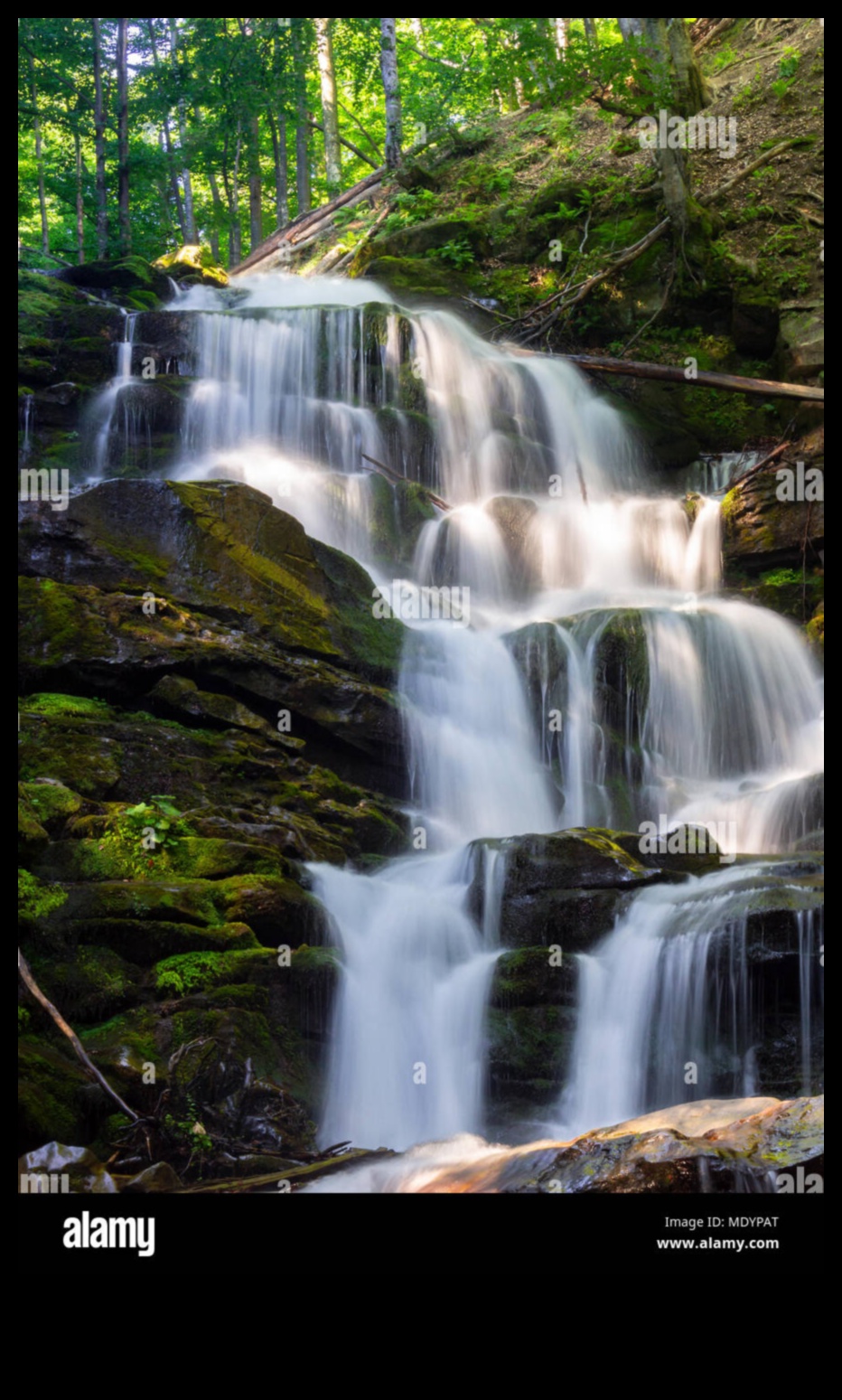 Cascade și cascade: Spectacole uluitoare ale naturii