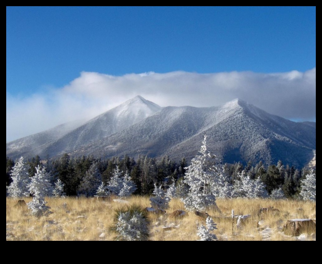 Summit Serenity: Explorând liniștea peisajelor montane