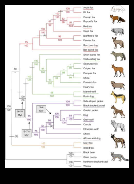 Cronicile canine: documentarea istoriei și evoluției câinilor