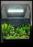 Fish Tank Finery 7 finisaje elegante pentru acvariul dvs