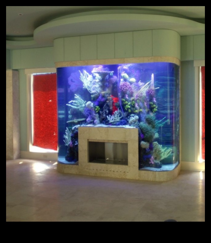 Fish Tank Artistry: Personalizarea acvariului dvs. cu designuri creative