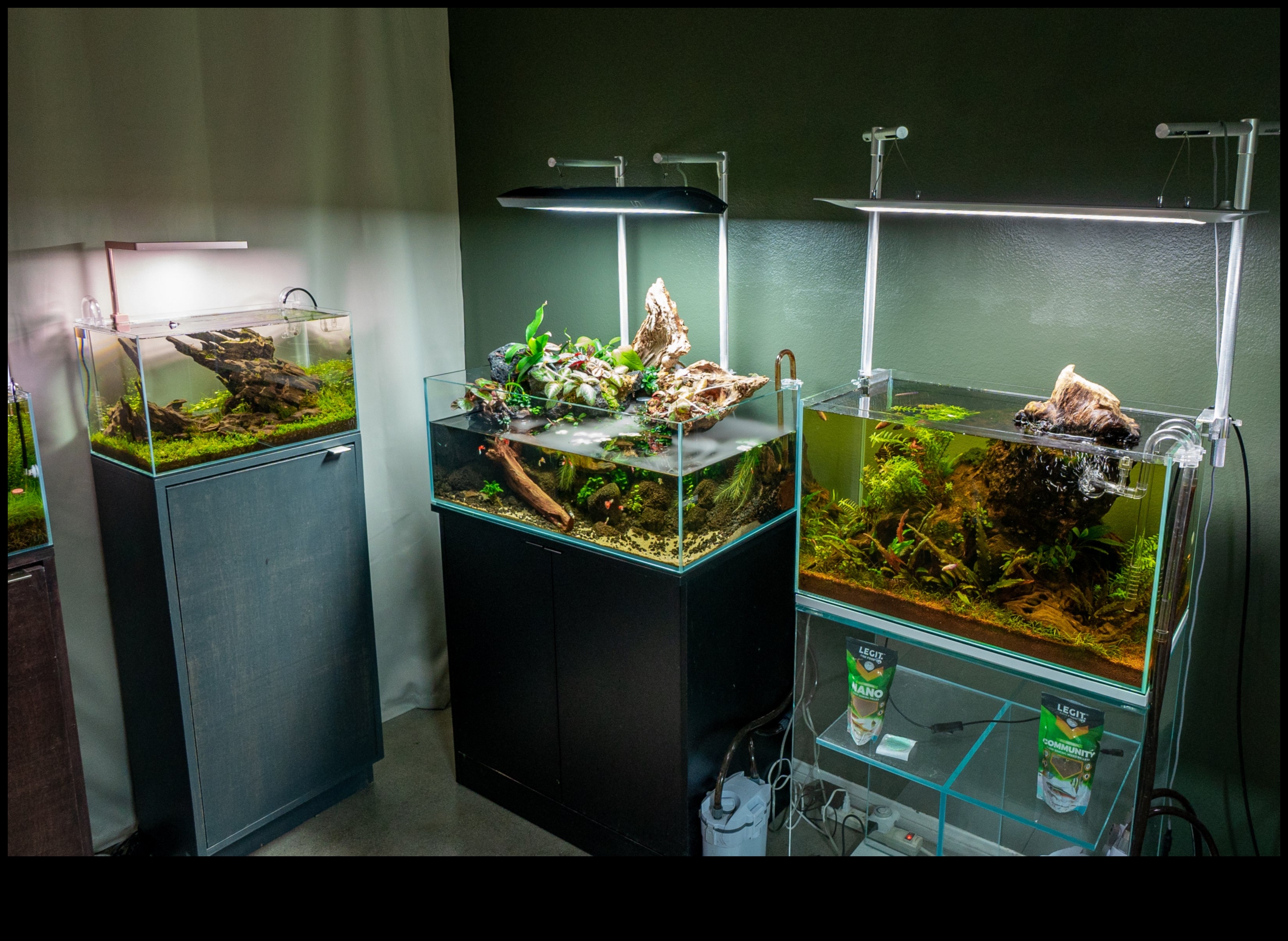 Fish Tank Artistry: Personalizarea acvariului dvs. cu designuri creative