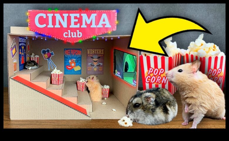 Hamster Home Cinema Cum să găzduiești nopți de film confortabile pentru animalele de companie mici